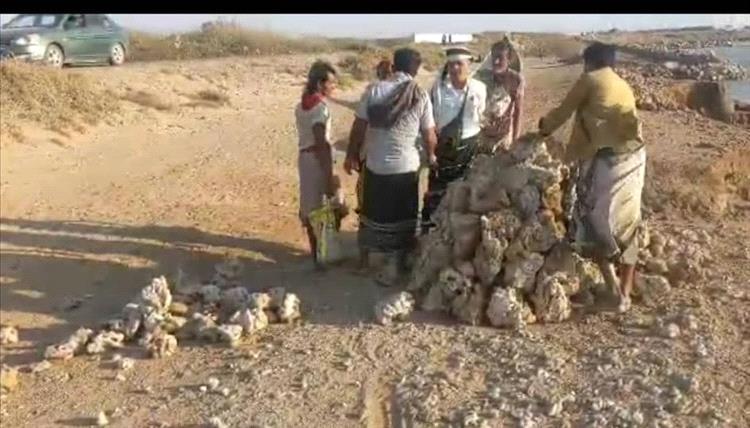 هيئة حماية البيئة بالحديدة تشدد على تطبيق قرار منع قلع الشعاب المرجانية