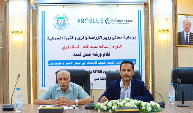 ورشة عمل فنية لدراسة سلاسل القيمة لمصائد الأسماك في البحر الأحمر وخليج عدن