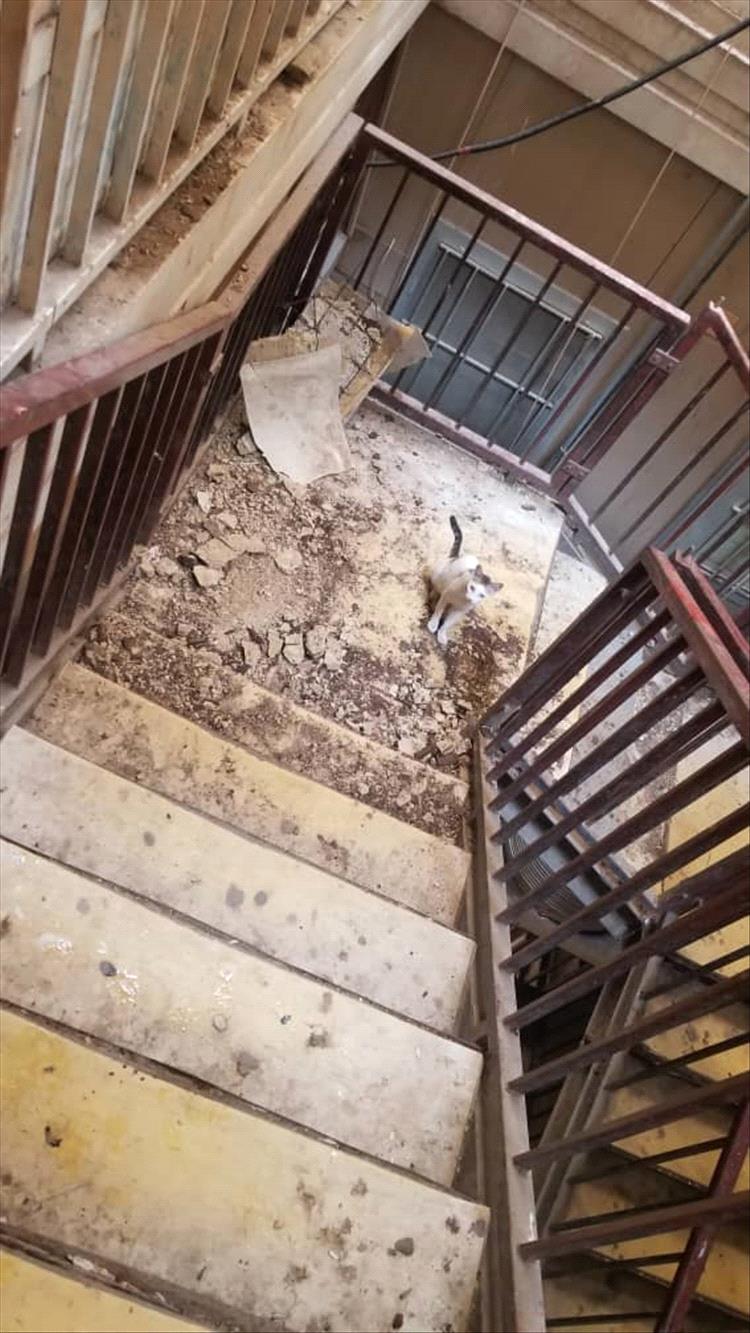 سكان عمارة بحي المختار في عدن يوجهون استغاثة عاجلة قبل وقوع الكارثة الأكبر