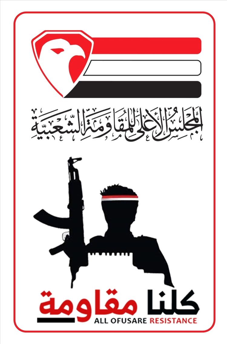 مطالبات واسعة بتمكين المقاومة الشعبية في اليمن