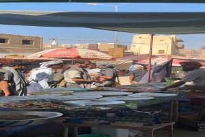 مديرية شبام.. نموذج في الاستقرار الأمني في عهد العميد بن حبيش