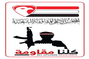 مطالبات واسعة بتمكين المقاومة الشعبية في اليمن