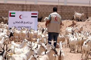 يستهدف 1612 أسرة.. هلال الإمارات يدشن برنامج الأضاحي في شبوة