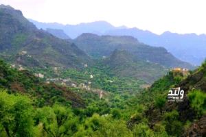 عزلة الجبزية.. حيث العيد يلتقي بجمال الطبيعة ودفء القلوب