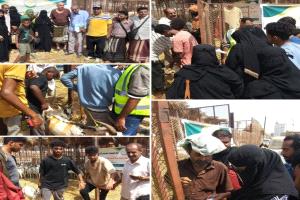 اتحاد الجمعيات والمؤسسات الخيرية يدشن توزيع أضاحي العيد