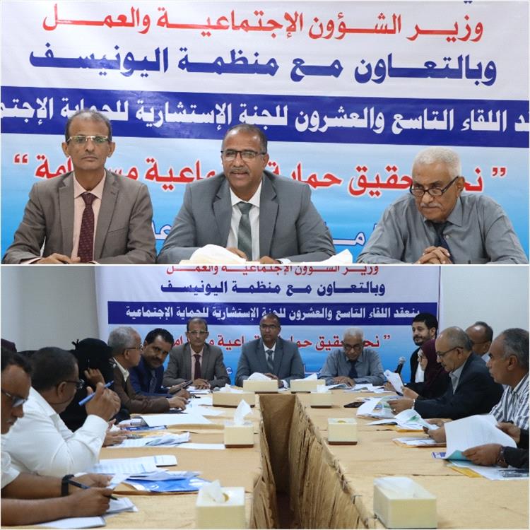 اللجنة الاستشارية للحماية تستعرض مصفوفة البرامج والمشاريع في الإطار الاستراتيجي