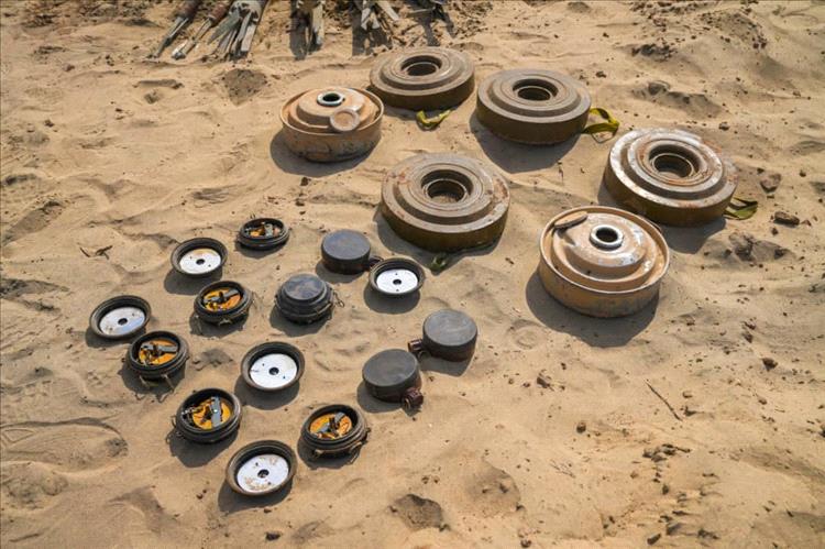 أبين: "مسام" يتلف أكثر من 4 آلاف ذخيرة في عملية نوعية بوادي دوفس