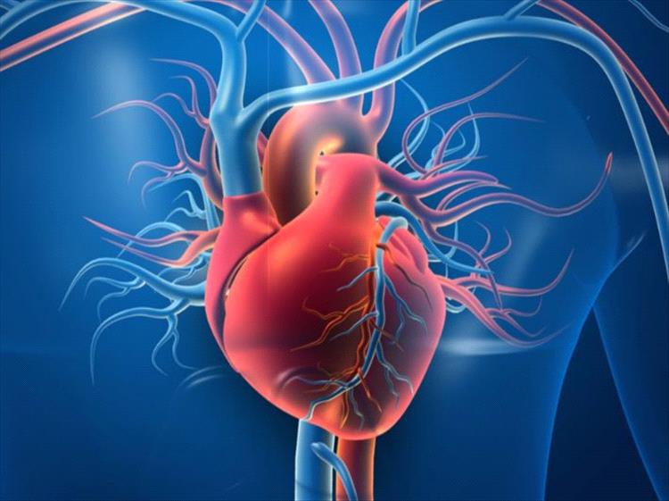 ضعف عضلة القلب.. أسبابه وطرق علاجه