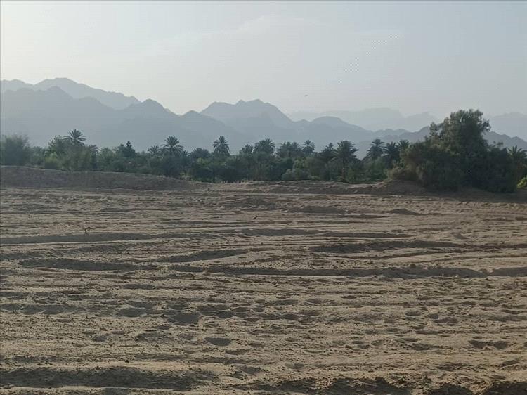 زراعة تحتضر وشعب يجوع .. النجد نموذجا لانهيار الامن الغذائي في الريف اللحجي