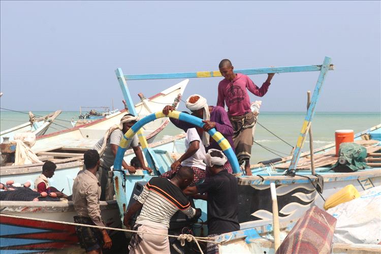 تقرير يدعو إلى إصلاح قطاع الثروة السمكية عبر الشراكة بين القطاعين العام والخاص