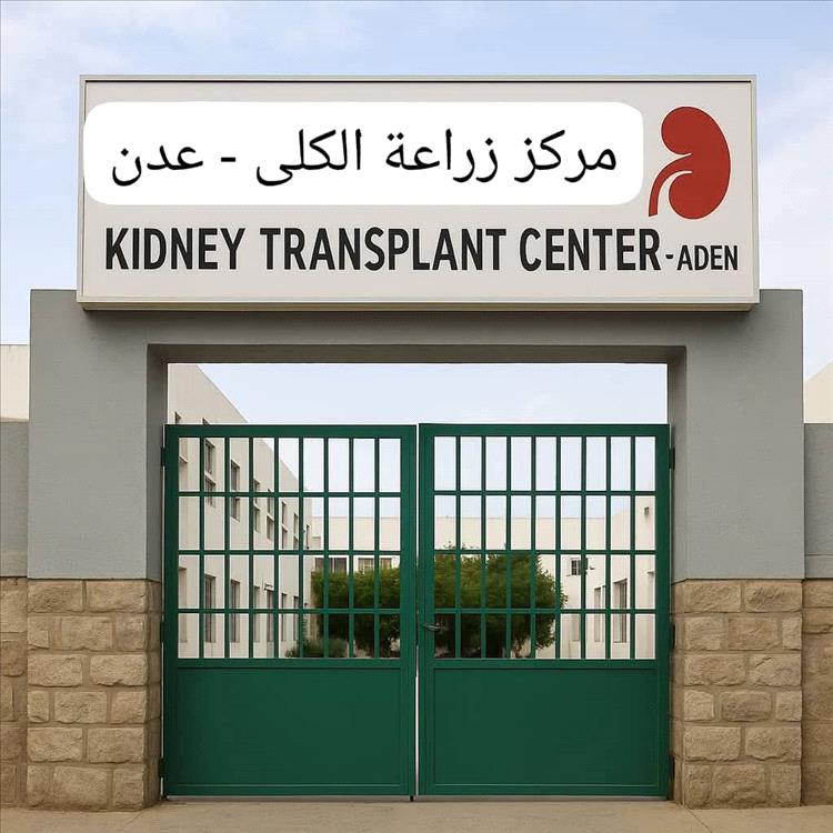 دعوات لإنشاء مركز لزراعة الكلى في العاصمة عدن: "الإنسان يستحق أن ننتصر له"