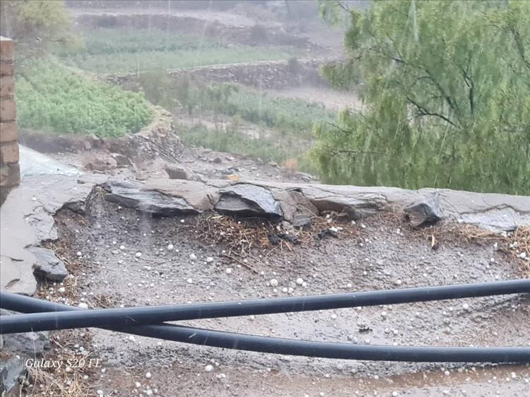 أمطار غزيرة وبَرَد يضرب مديرية الشعيب ويسبب أضرارًا في شجرة القات