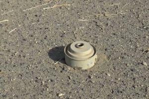 انفجار لغم حوثي يودي بحياة مواطن في البيضاء