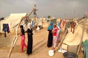 الهجرة الدولية: نزوح 49 أسرة خلال أسبوع