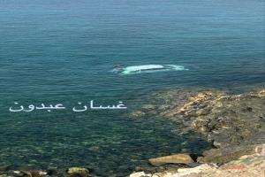 انقلاب سيارة إلى البحر في المكلا