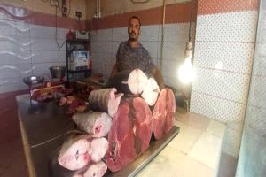 أسعار الأسماك في مدينة عدن.. الثلاثاء