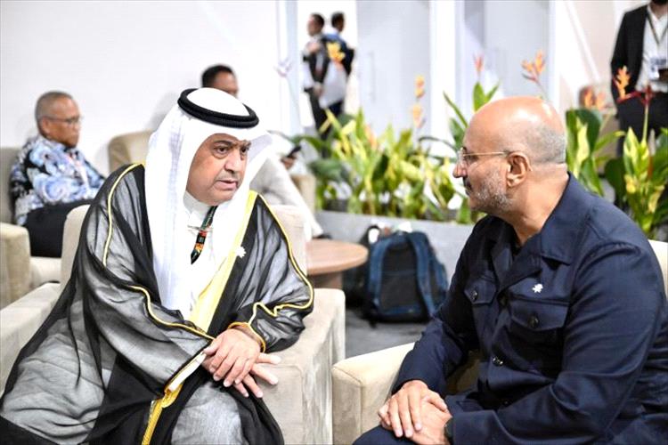 طارق صالح يلتقي وزير النفط الكويتي لبحث التعاون في مشاريع الطاقة النظيفة