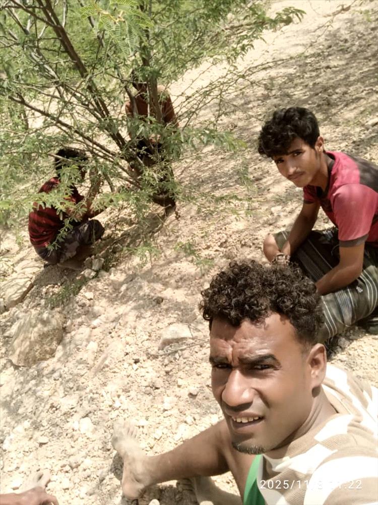 شباب الكورة يزيلون أشجار السيسبان من الطريق المؤدي إلى أحد السدود المائية