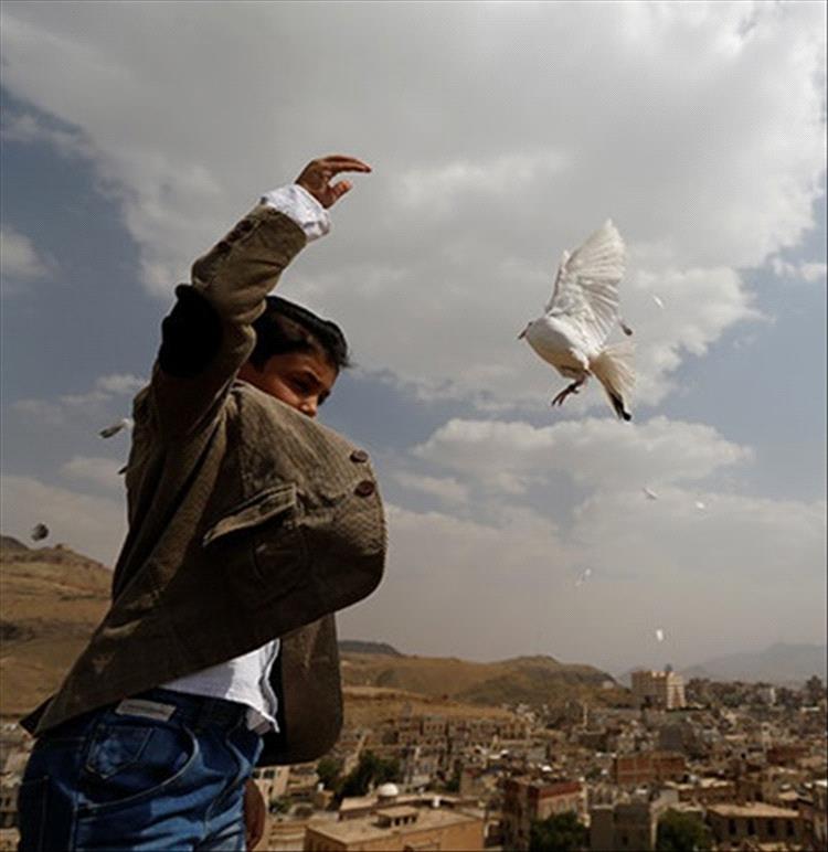 سجال حاد بين محمد البخيتي وسياسي سعودي عن السلام في اليمن