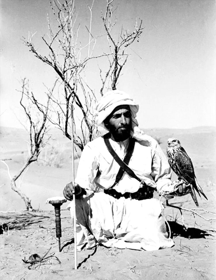 الجمعية اليمنية لرياضات وسباقات الصقور تعلن اختيار الشيخ زايد صقّار العرب شخصية العام 2026 واعتماد محافظة شبوة موقعًا لإقامة فعالية اليوم العالمي للصقور