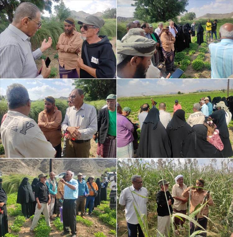 أبين: نزول الباحثين إلى حقول المزارعين في منطقتي المخزن والحصن