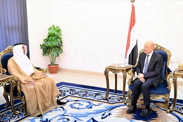 رئيس مجلس القيادة يشيد بالدعم الاماراتي لقطاع الكهرباء في اليمن
