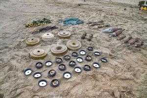 مسام يواصل تطهير ميدي: إزالة 50 لغماً حوثياً وتأمين مناطق سكنية وزراعية