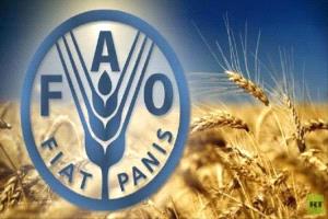 خطة دولية لدعم 9.38 مليون شخص في اليمن حتى 2027