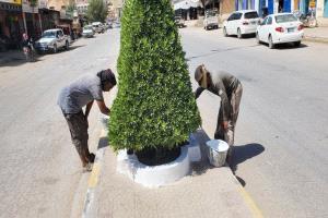 وحدة النظافة و التحسين بمديرية القطن تقوم بأصلاحات بأحواض الأشجار و الأرصفة وتنظيف الشوارع العامة