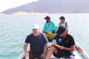 الهيئة الإقليمية (PERSGA) والهيئة العامة لحماية البيئة تنفذ دراسة للشعاب المرجانية في جزيرة العزيزي