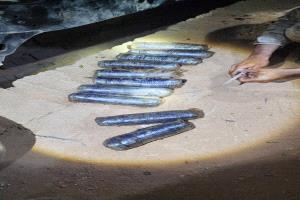 كتيبة حماية وأمن منفذ الوديعة تُحبط تهريب 24 كيلوغراماً من الحشيش المخدر كانت في طريقها إلى السعودية