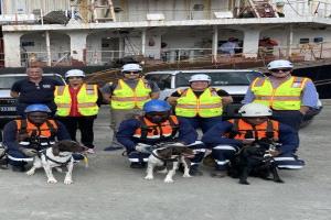 سفيرة بريطانيا: نؤكد دعمنا لـ“يونفيم” ودورها في ضمان تدفق المساعدات ومنع التهريب إلى اليمن