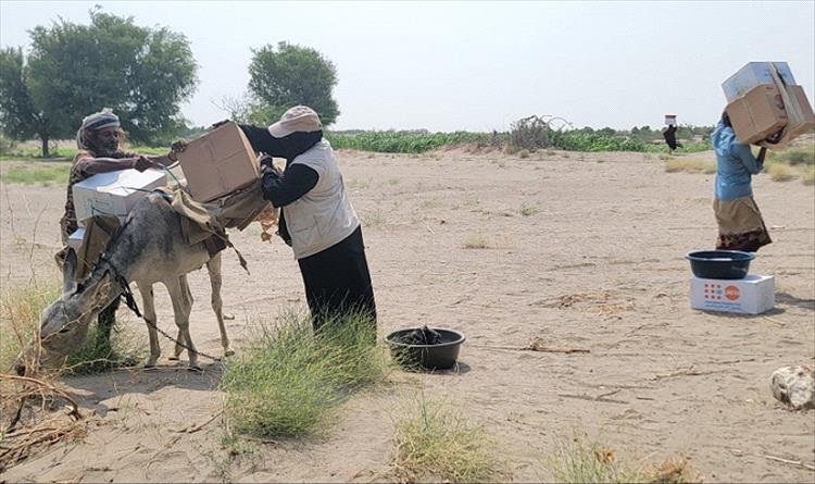 تقرير أممي: نزوح 262 ألف يمني جراء النزاع المسلح والكوارث الطبيعية