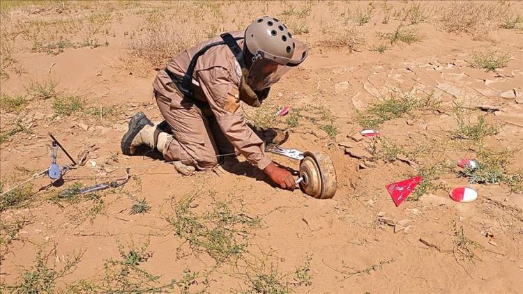 147 مدنيًا بين قتيل وجريح بالألغام خلال ثمانية أشهر في الحديدة