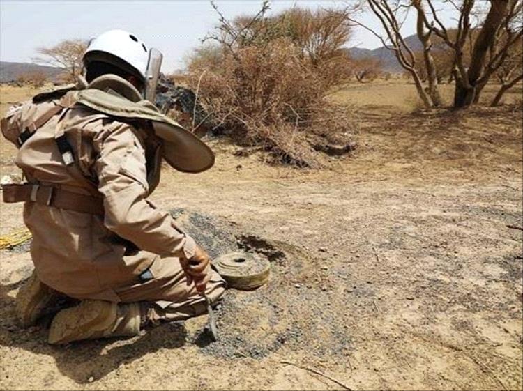 نزع أكثر من 3 آلاف لغم حوثي منذ بداية الشهر الجاري
