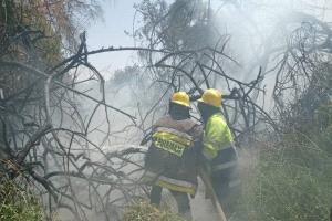 فرق الدفاع المدني بمأرب تُخمد حريقًا اندلع في مزرعة جنوب المدينة