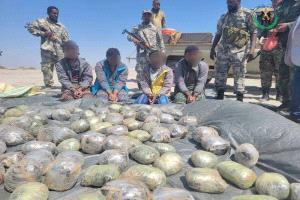 ضبط وإحباط عملية تهريب حبوب مخدّرة قرب سواحل مقاطين شرق أبين