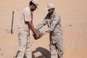 مشروع "مسام" يتلف أكثر من 300 لغم ومادة متفجرة في شبوة ضمن عملياته المستمرة لتطهير الأراضي اليمنية