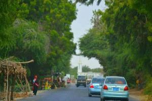 شرطة أبين تضبط متهمًا بإطلاق النار على شاب نتيجة خلافات سابقة