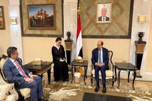 الزنداني يبحث مع السفير الأمريكي التهديدات الحوثية للملاحة وجهود دعم الاستقرار في اليمن
