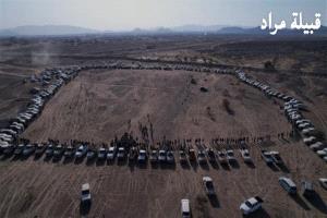 قبائل مراد في مأرب ترحب بـ "رؤية الزبيدي" وتدعو لتوحيد الصف مع الجنوب