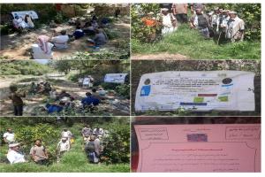 الزراعة بسبَّاح يافع تختتم دوراتها التدريبية الاخيرة لمحصول البُن بمنطقة العرقة
