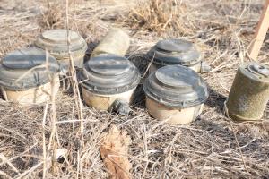 مشروع مركز الملك سلمان "مسام" ينزع (805) ألغام من الأراضي اليمنية خلال أسبوع