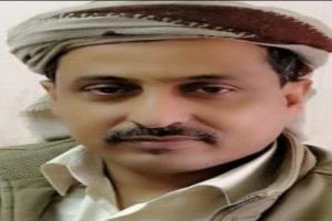 هيبة الذيب هبّت