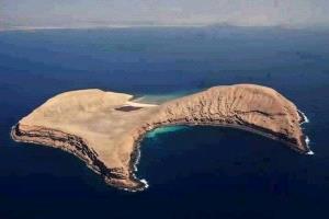 سياسي يمني:  تنمية الجزر اليمنية تفضح حملات التشويه ضد الحليف الجمهوري