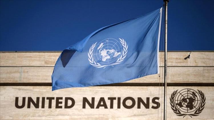 الأمم المتحدة: أكثر من مليون يمني تلقوا مساعدات نقدية بقيمة 48.5 مليون دولار خلال النصف الأول من 2025