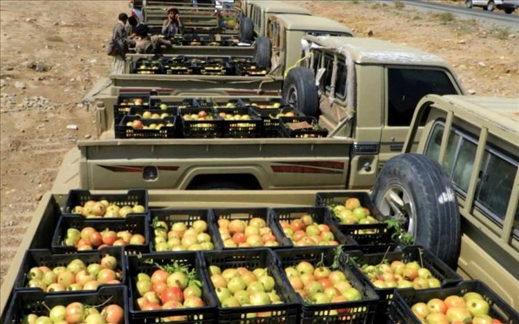 مزارعو الفواكه في اليمن بين «قوافل الحوثيين» وشح المحصول