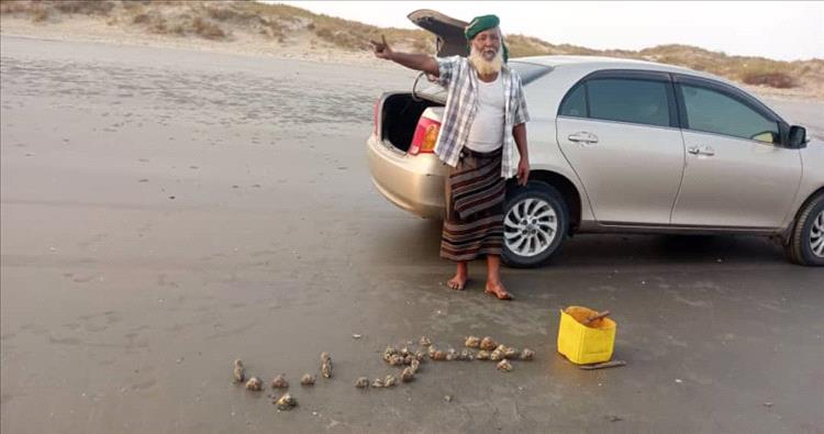هكذا عبّر صياد من رضوم شبوة عن حبه للجنوب بمحار البحر!