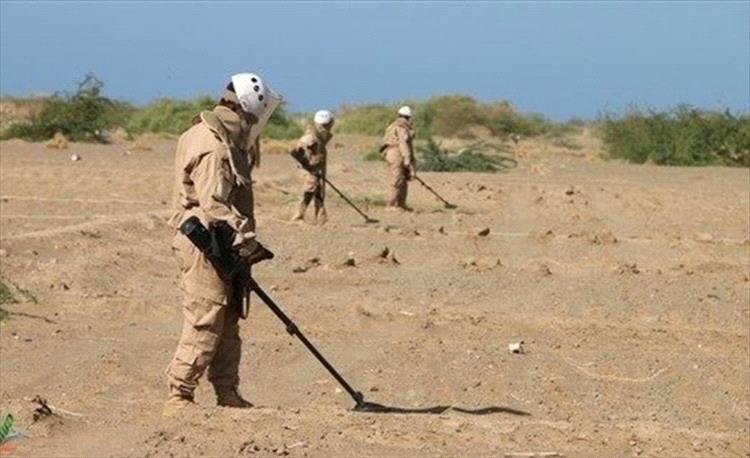 شبوة..  فرق مسام تنزع 4 ألغام مضادة للدبابات زرعتها ميليشيا الحوثي في عسيلان