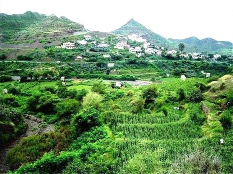 مقتل امرأة في حملة أمنية حوثية عنيفة بمديرية المخادر شمال محافظة إب